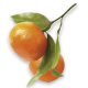 Savon liquide de Marseille mandarine 5L Coslys