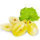 Huile de douche aux pépins de raisin Coslys