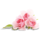 Masque nutrition renforce Peaux sèches et sensibles Coslys