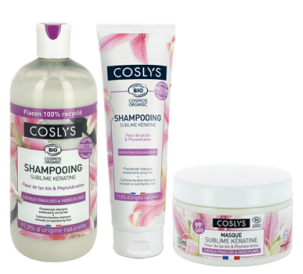 Cheveux fragilisés et indisciplinés