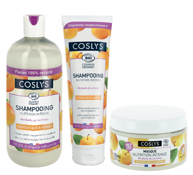 Cheveux secs et abîmés